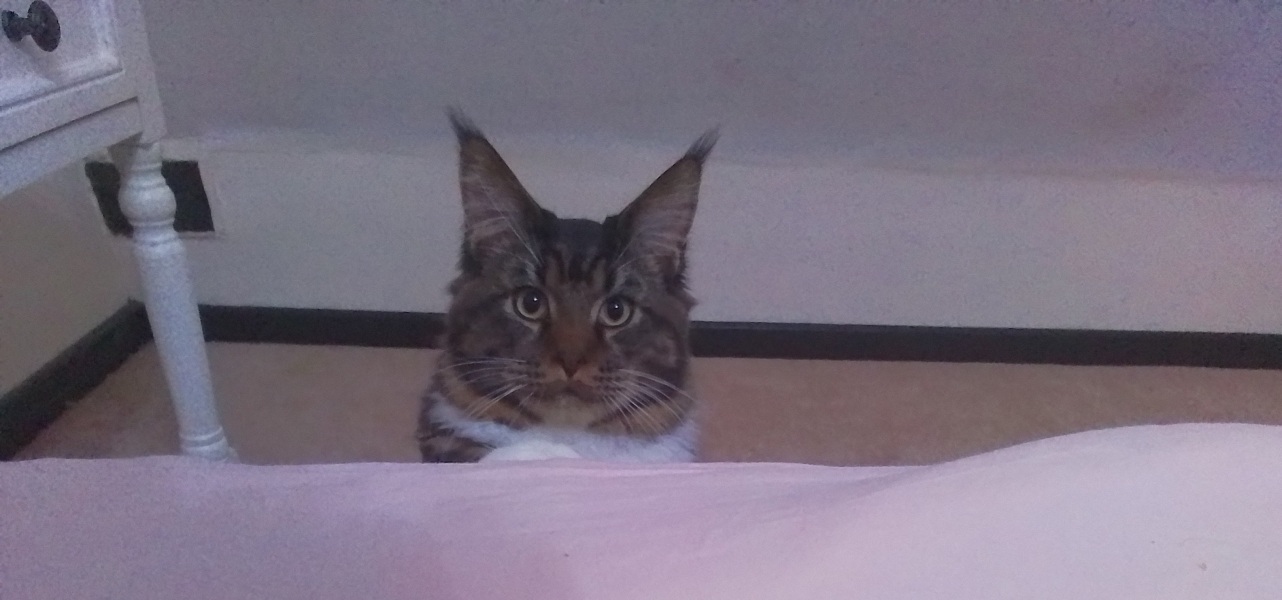 Come and tell me your dull and unexciting news 24: Calmly through the day 