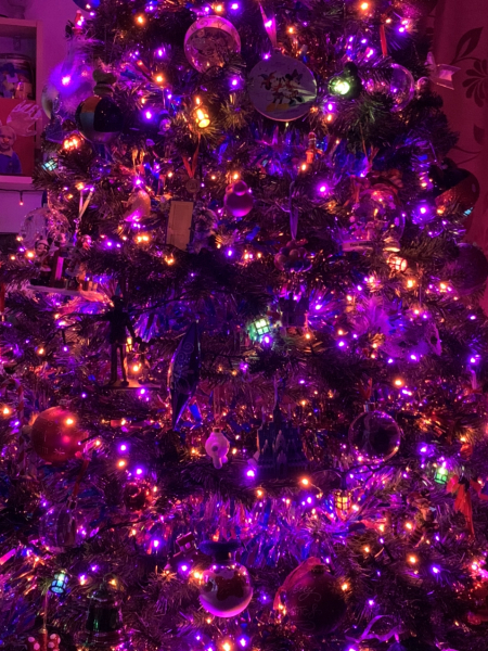 What colour lights do you have on your tree?