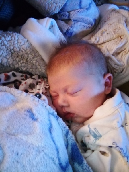 No more horror stories! What was the best part of pregnancy/newborn life for you?