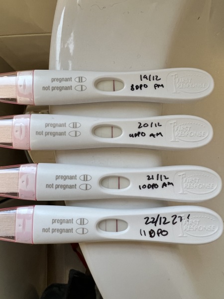 All I want for Christmas is a BFP- TTC September baby 🍁