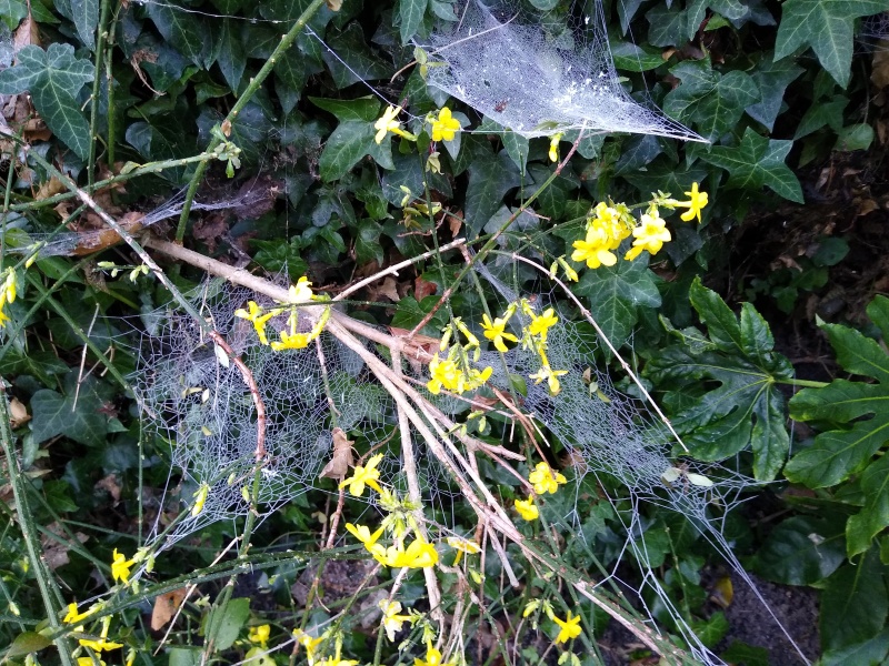 Lifeboat Muster Point for TalkExiles - Thread 2