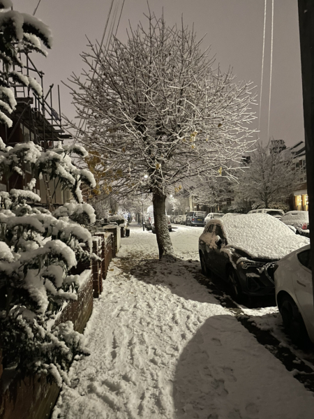 Are many schools closed in uk today? 
