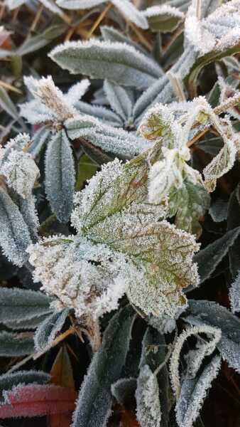 Come and tell me your dull and unexciting news 24: Calmly through the day 