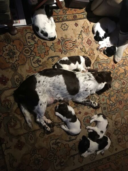 Lifeboat Muster Point for TalkExiles - Thread 2