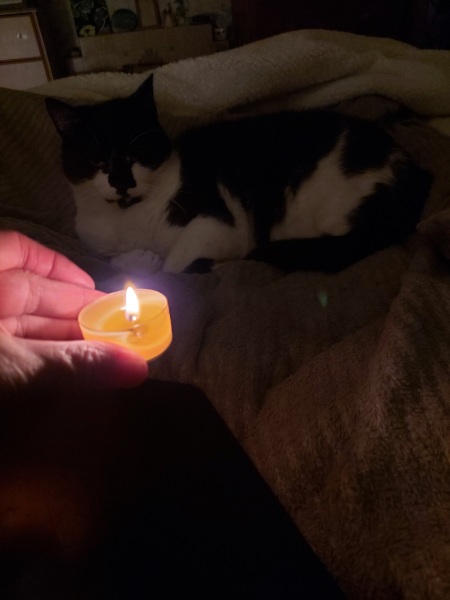 Any Witches Here?- Part 17.