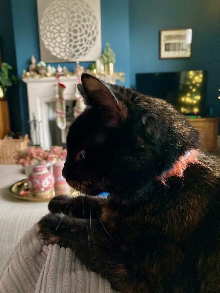 Thread 3 - TalkExiles: "The Planet Goes On Being Round"