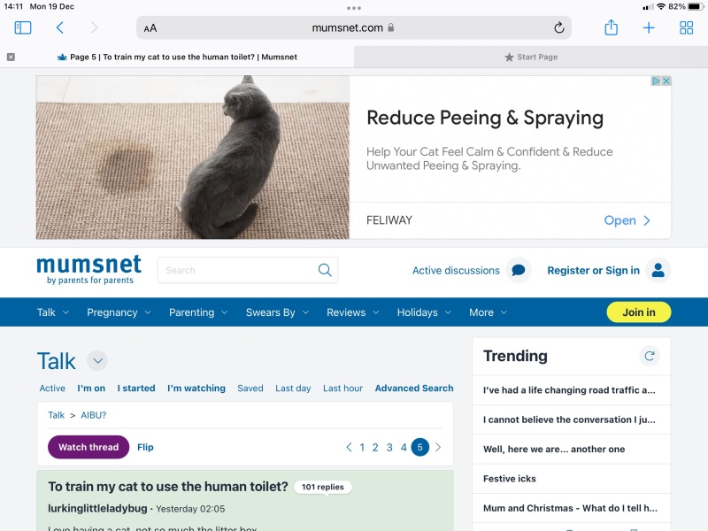To train my cat to use the human toilet?