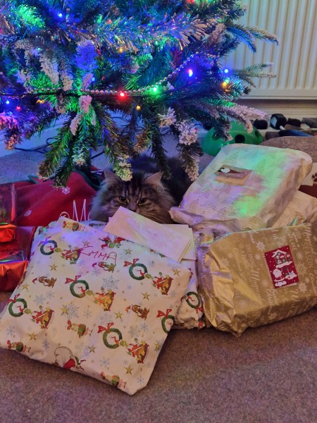Cat versus Christmas tree - any pics? (lighthearted)