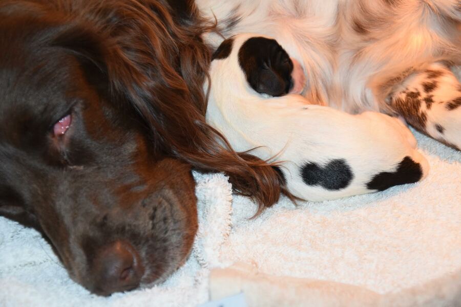 Lifeboat Muster Point for TalkExiles - Thread 2