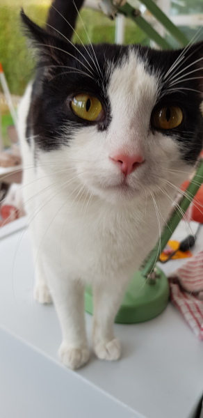 Thread 1 - Lifeboat Muster Point for TalkExiles