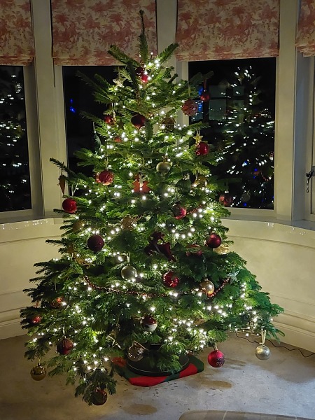 Show me your Christmas tree / decorations please. In need of inspiration