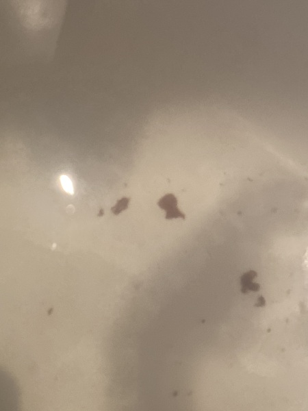 ! images ! brown period clots in bath - is this normal..
