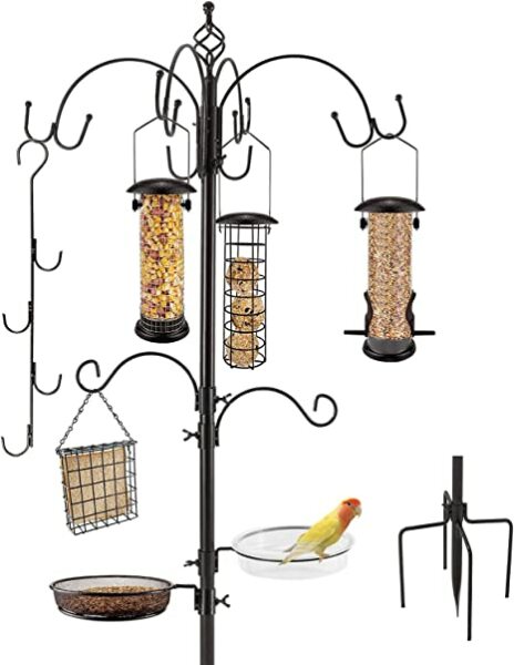 What's good to feed birds that cats and dogs will ignore?