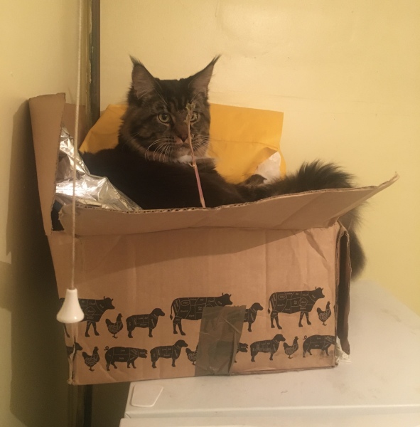 Come and tell me your dull and unexciting news 24: Calmly through the day 