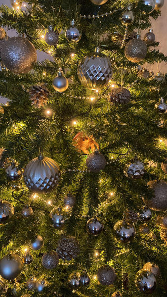 Does anyone have the Paperchase hermit crab Christmas tree decoration they’d like to sell me??