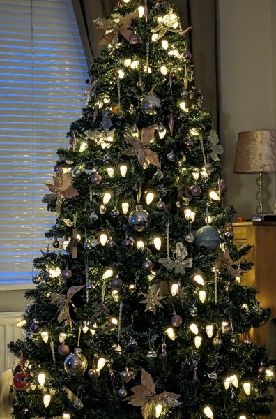 Show me your Christmas tree / decorations please. In need of inspiration