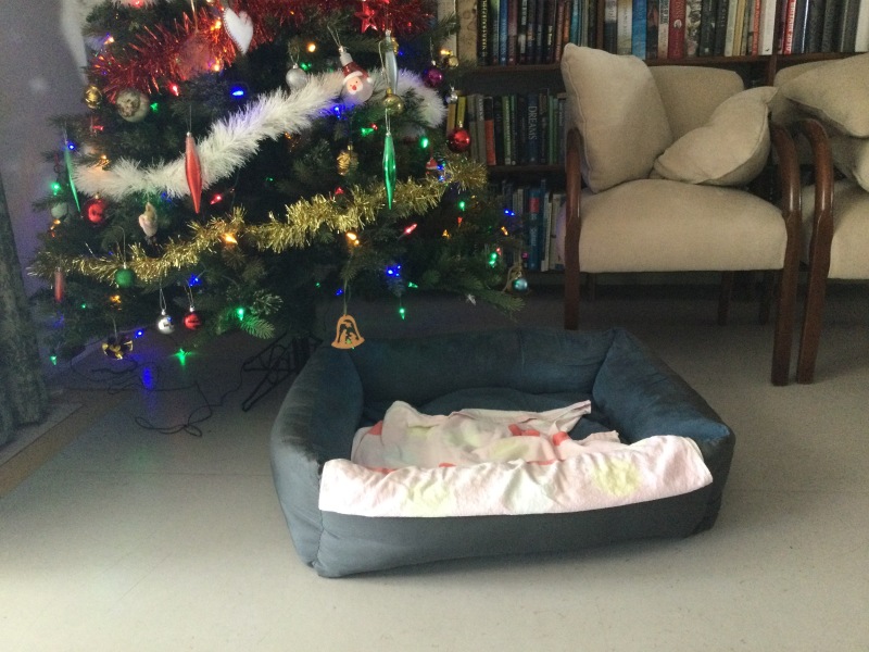 It'll be lonely this Christmas - a space for those of us having a quiet Christmas this year
