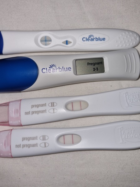 Due August 2023?