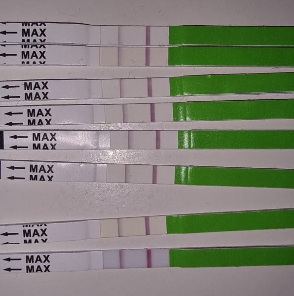 Ovulation sticks
