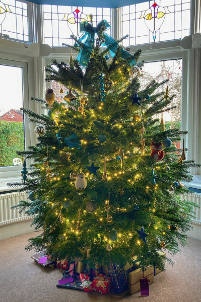 Show me your Christmas tree / decorations please. In need of inspiration
