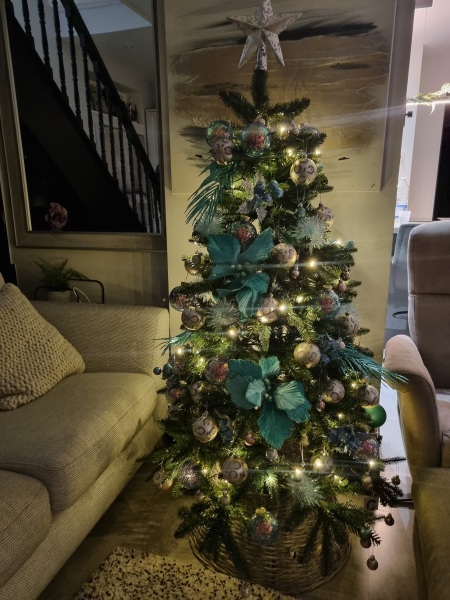 Show me your Christmas tree / decorations please. In need of inspiration
