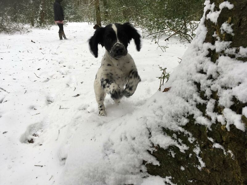 Lifeboat Muster Point for TalkExiles - Thread 2