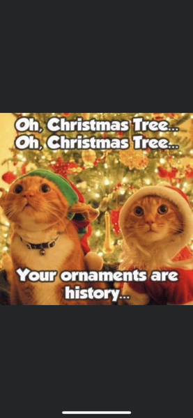 Cat versus Christmas tree - any pics? (lighthearted)