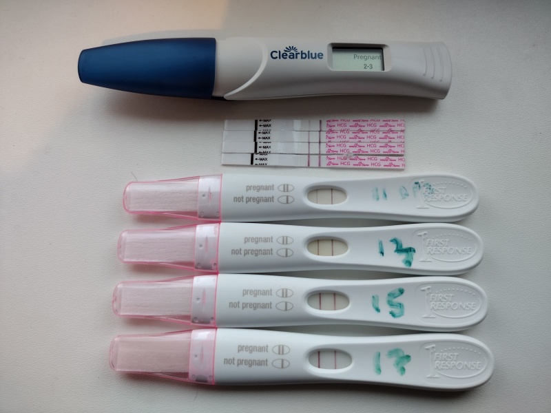 Due August 2023 (Thread 3)