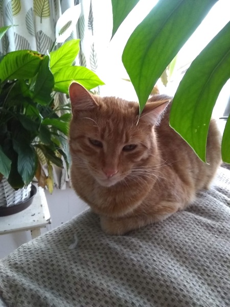 Lifeboat Muster Point for TalkExiles - Thread 2