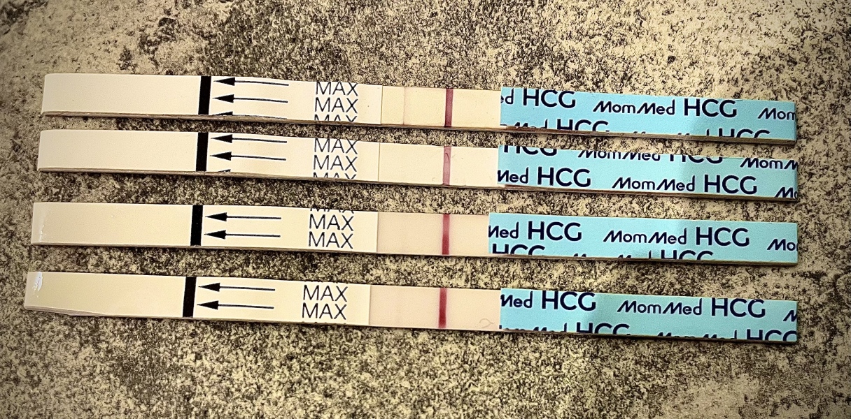 First timers, TTC. Safe space for brain dumps...