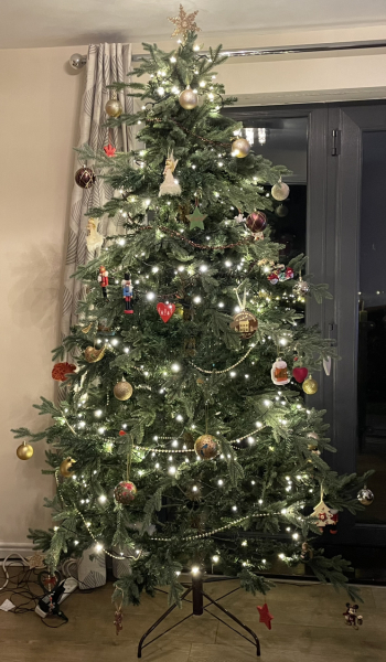 Non judgemental Christmas Decorations thread. 