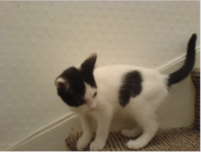 Thread 1 - Lifeboat Muster Point for TalkExiles