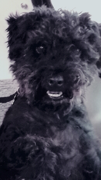 Lifeboat Muster Point for TalkExiles - Thread 2