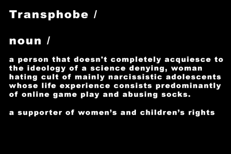 How do you speak up without being called transphobic 