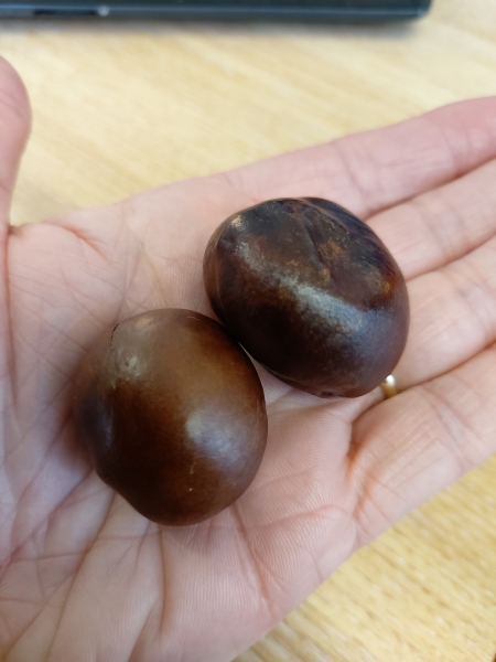 Any Witches Here?- Part 17.