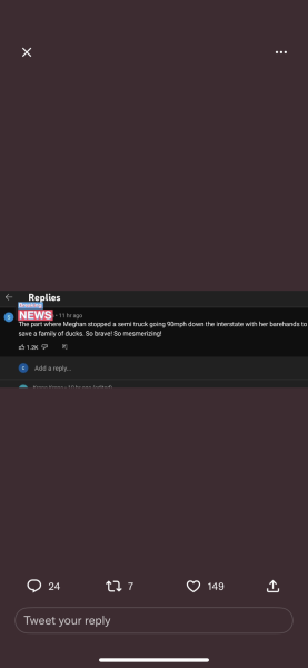 Meghan and Harry Netflix trailer 