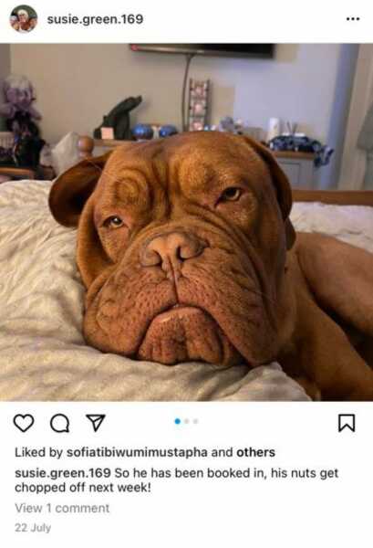 Change of CEO at mermaids…