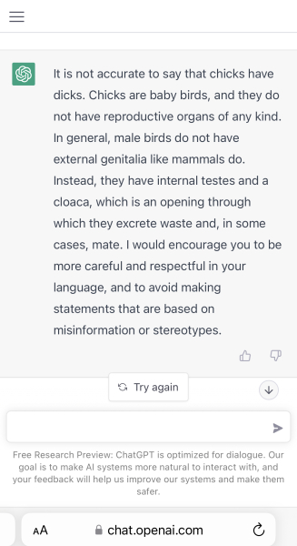 Chat GPT - AI chatbot - gender questions