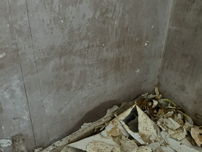 Damp worries - pic attached, help please!