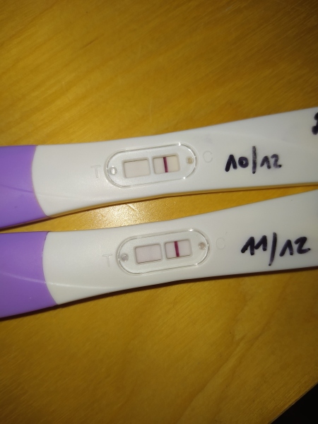 Pregnancy Test Opinions again??