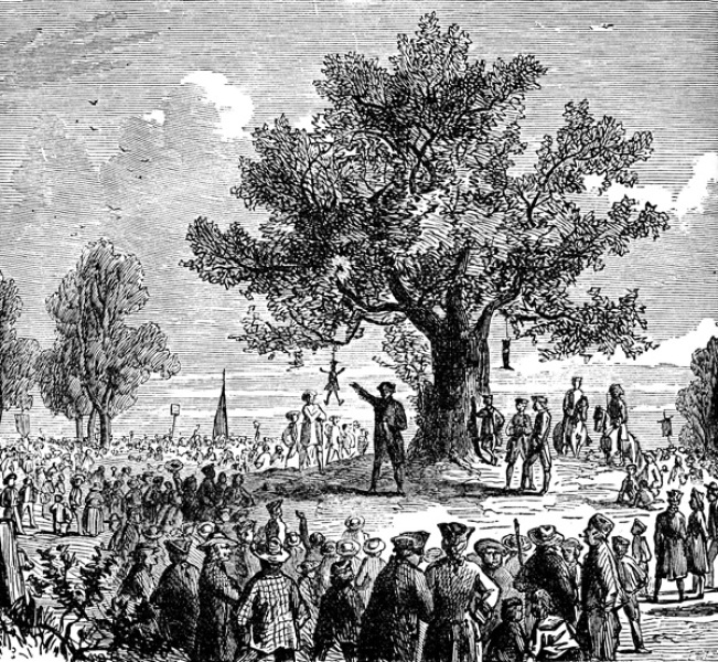 Weird dolls hanging on neighbours tree?