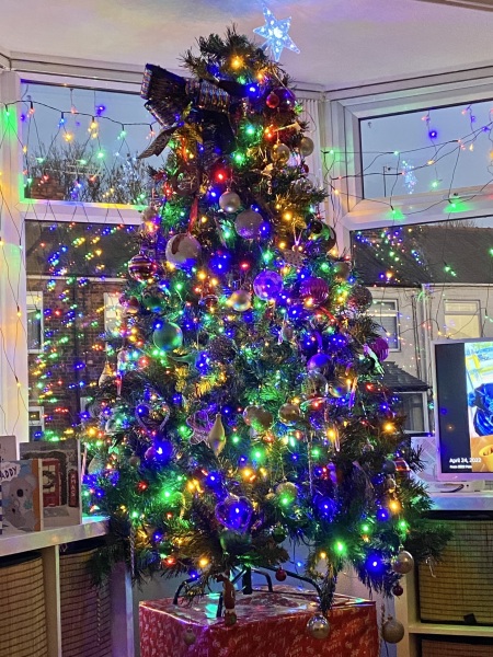 What colour lights do you have on your tree?