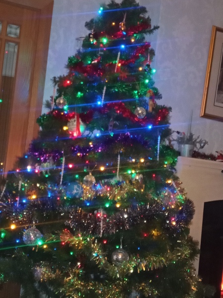 What colour lights do you have on your tree?