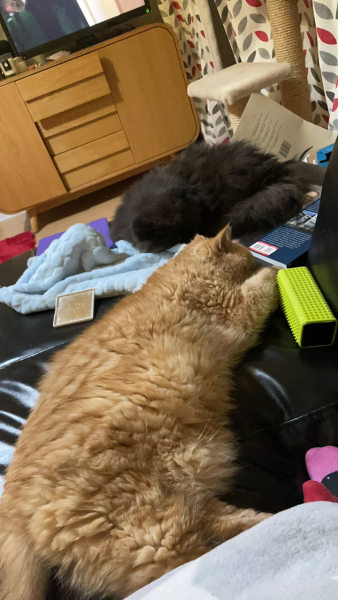 Bookends
