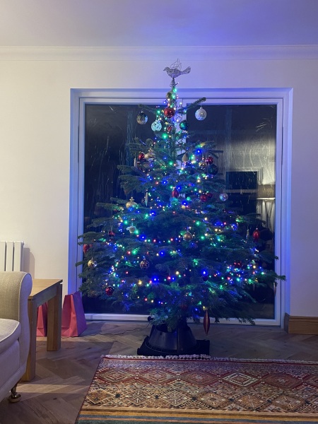 What colour lights do you have on your tree?