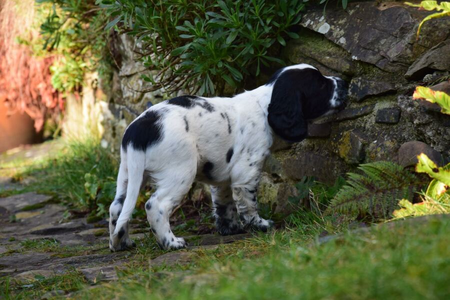 Lifeboat Muster Point for TalkExiles - Thread 2