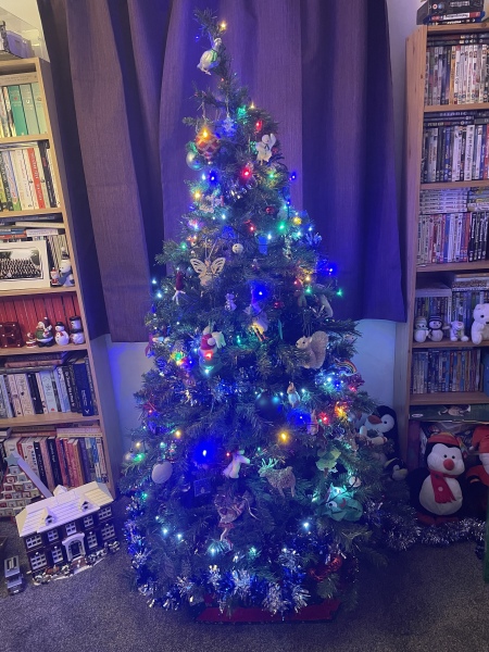 The Christmas Chronicles by Nigel Slater. Read Along Thread 2022 PART 2