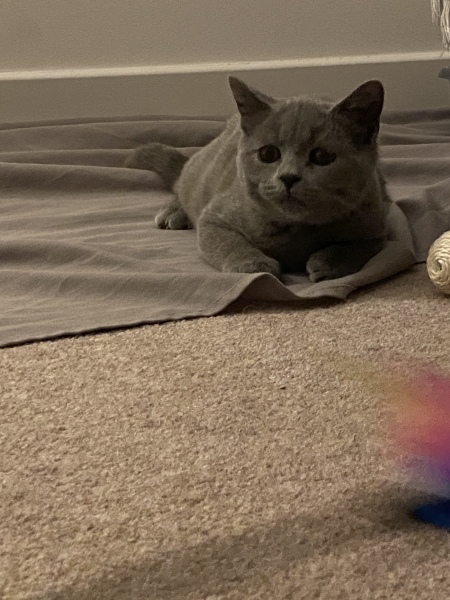 Thread 1 - Lifeboat Muster Point for TalkExiles