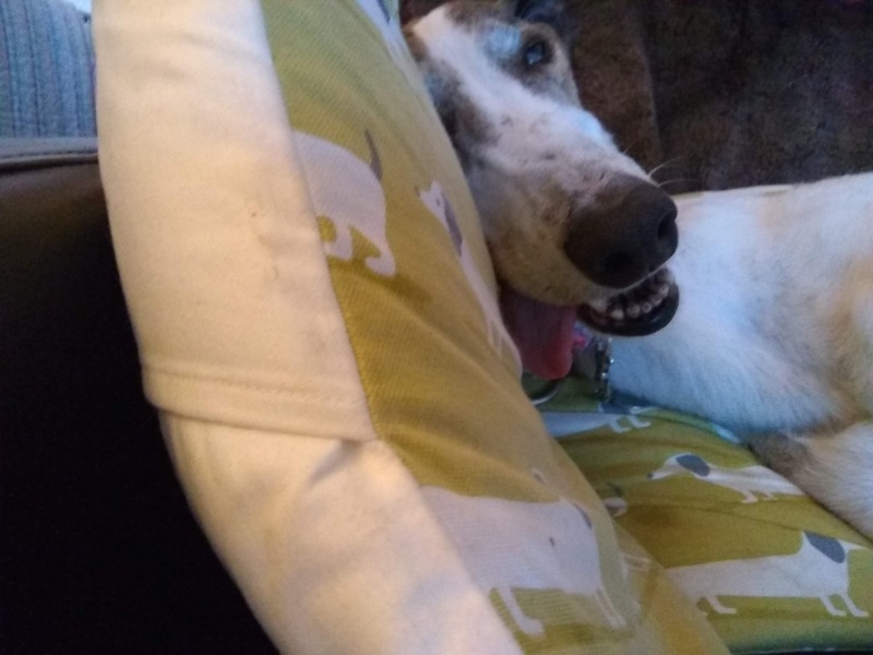 Lifeboat Muster Point for TalkExiles - Thread 2