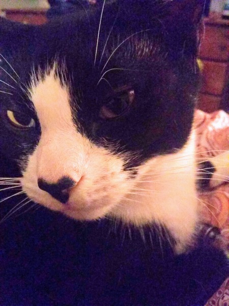 Lifeboat Muster Point for TalkExiles - Thread 2